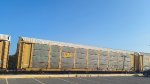 CSX B6063 (Body) TTGX 982088 (Flat)